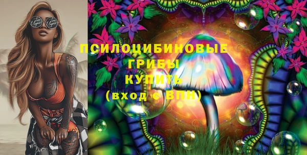 мескалин Осташков