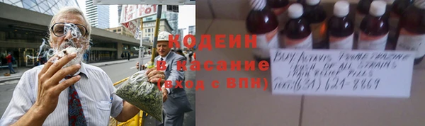 первитин Осинники