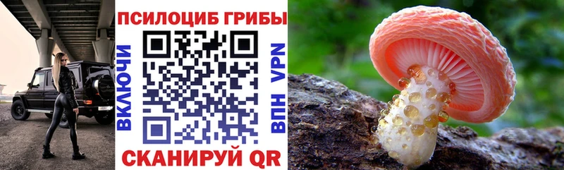 Псилоцибиновые грибы мицелий  купить   Рассказово 