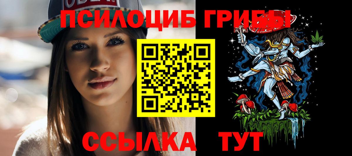 Псилоцибиновые грибы мицелий Рассказово