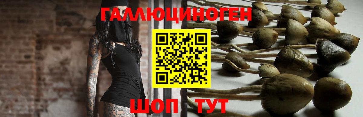 Псилоцибиновые грибы Cubensis  Вход с VPN  Псилоцибиновые грибы Psilocybe  Рассказово 