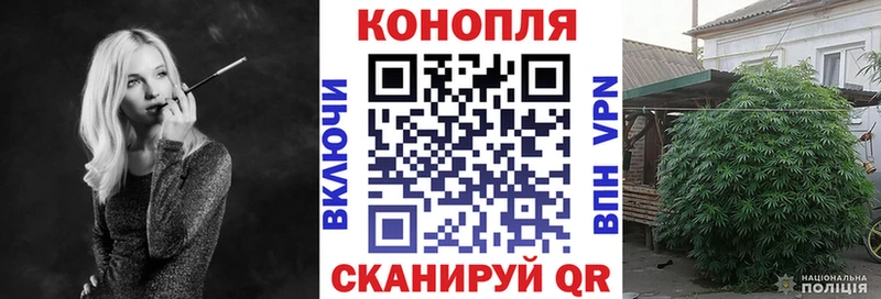 Конопля планчик Рассказово